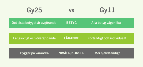 Skillnader mellan Gy25 och Gy11