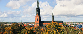 Privatlärare i Uppsala